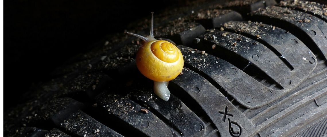 Dans le prolongement de ses actions innovantes sur la mobilité, ŠKODA s’associe à KissKissBankBank pour soutenir des initiatives innovantes et vertueuses pour la mobilité Escargot sur un pneu