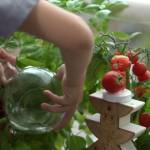 Enfant jardinant