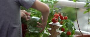 Enfant jardinant