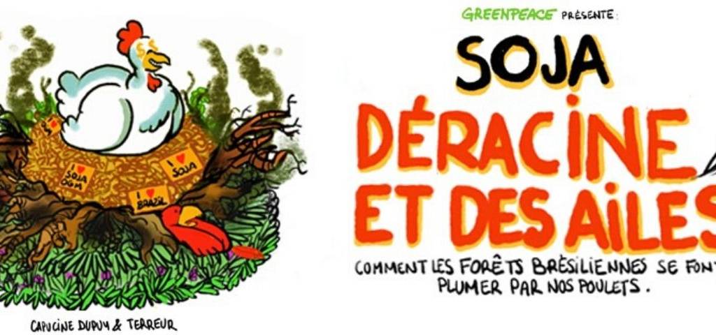 Page de garde de la BD : Déracine et des ailes