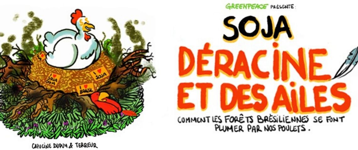 greenpeace propose d'explorer la face méconnue de l'élévage industriel en BD Page de garde de la BD : Déracine et des ailes