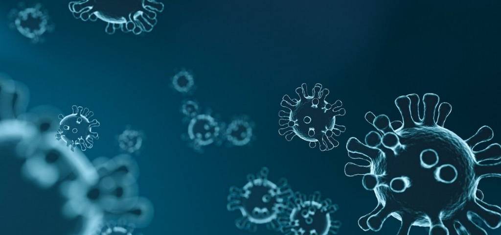 Virus