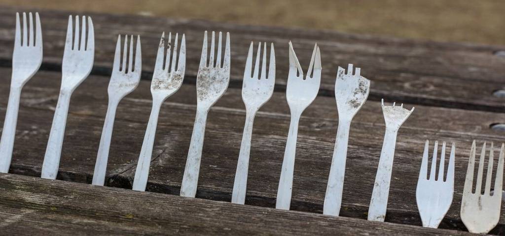 Fourchettes en plastique