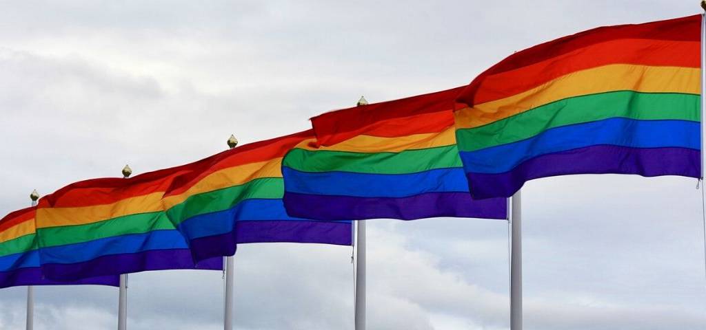 Drapeaux LGBT+