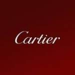 CARTIER INTERNATIONAL