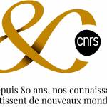 CENTRE NATIONAL DE RECHERCHE SCIENTIFIQUE - CNRS