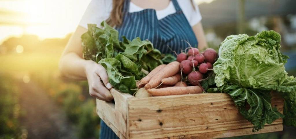 Une agricultrice tient un panier de légume
