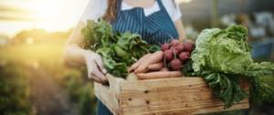 Une agricultrice tient un panier de légume