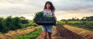 Une agricultrice dans son champs