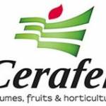 CERAFEL