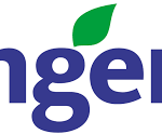 SYNGENTA FRANCE SAS