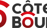 SYNDICAT VITICOLE DE COTES DE BOURG