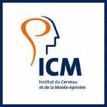 ICM