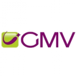 GMV CONSEIL