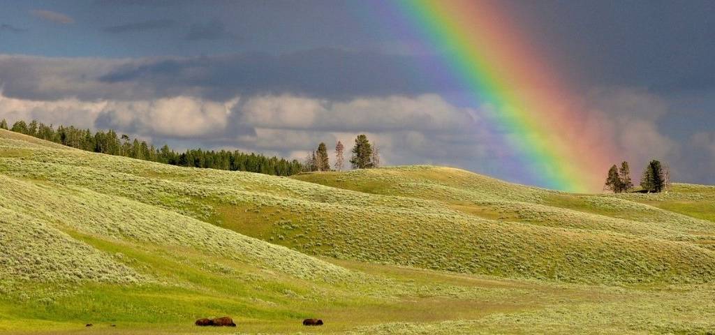Arc en ciel sur une prairie