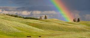 Arc en ciel sur une prairie