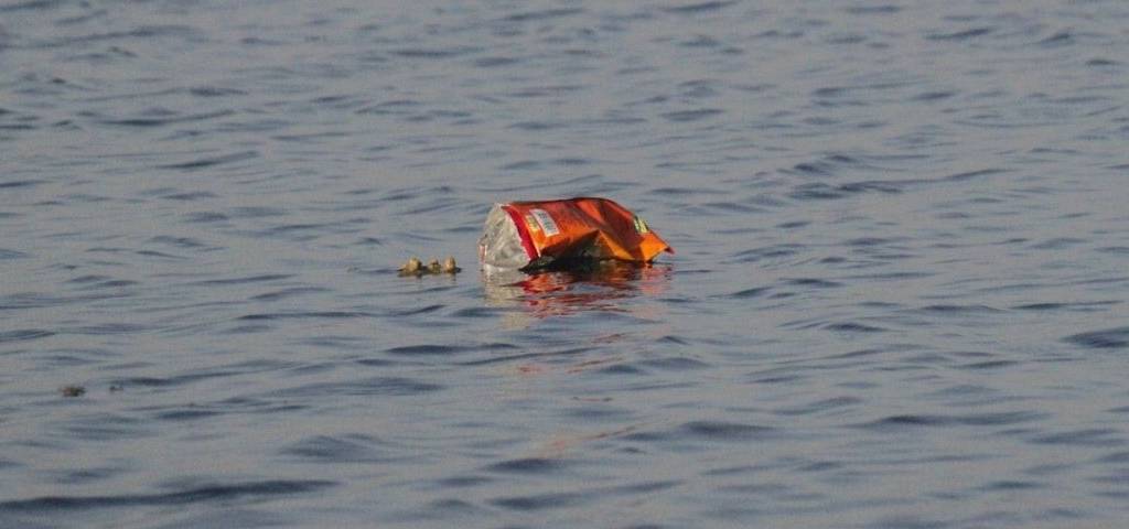 Bouteille plastique flottant sur l'eau