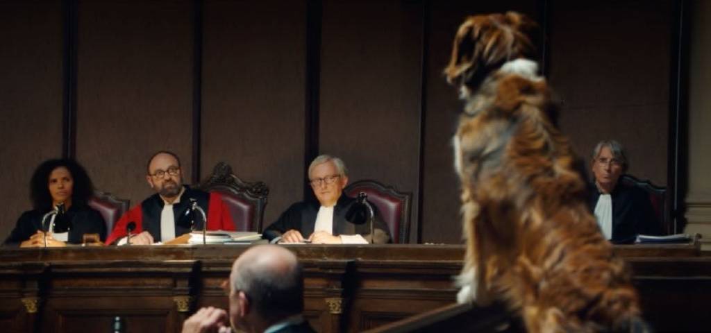 Chien devant des juges dans un tribunal