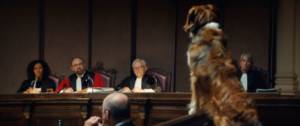 Chien devant des juges dans un tribunal