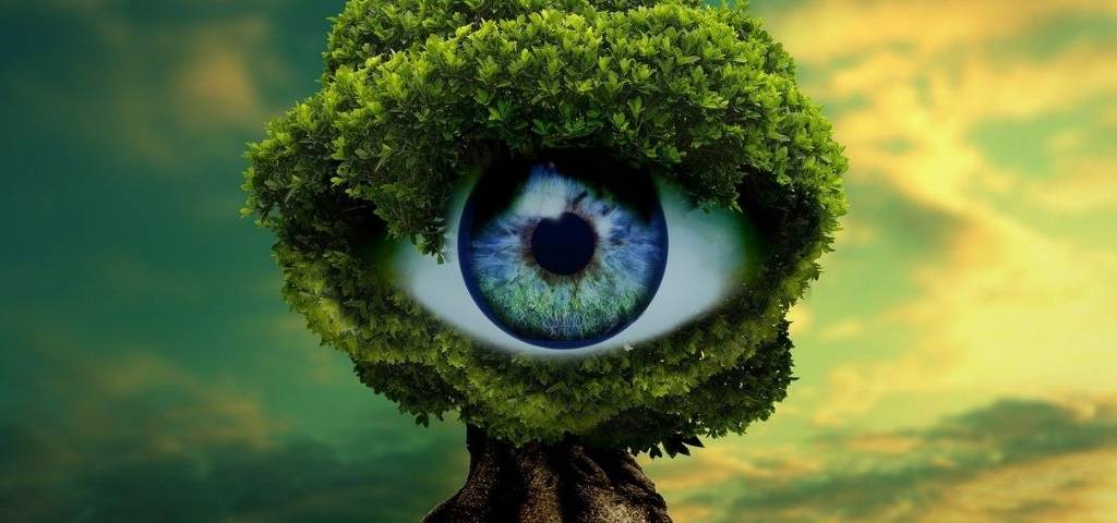 Arbre avec un oeil au centre