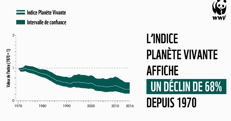 Graphiqu du rapport Plan^ète Vivante du WWF présentant la courbe de destruction de la nature
