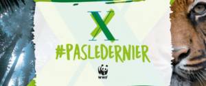 Logo de la campagne #pasledernier