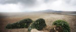 Désert avec une femme recouvrte de verdure