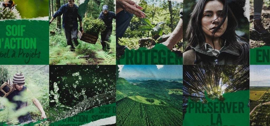 Montage de visuels sur la nature
