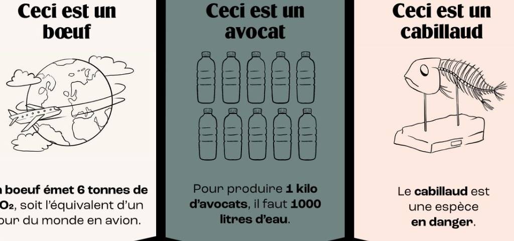 Graphique de l'empreinte carbone du Boeuf et de l'avocat et présentant la menace de disparition sur les cabillauds