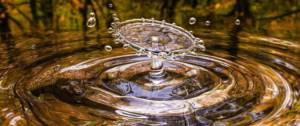 Eau