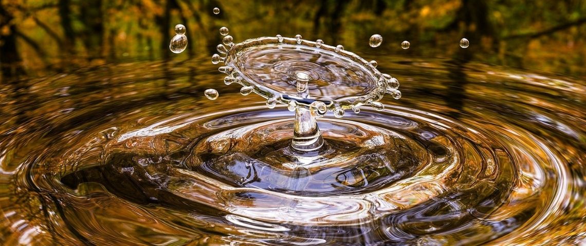Suntory Beverage & Food France s’engage pour préserver et protéger la ressource en eau au travers d'un partenariat avec le Grand Parc Miribel Jonage Eau