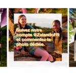 Compte Instagram Zalando