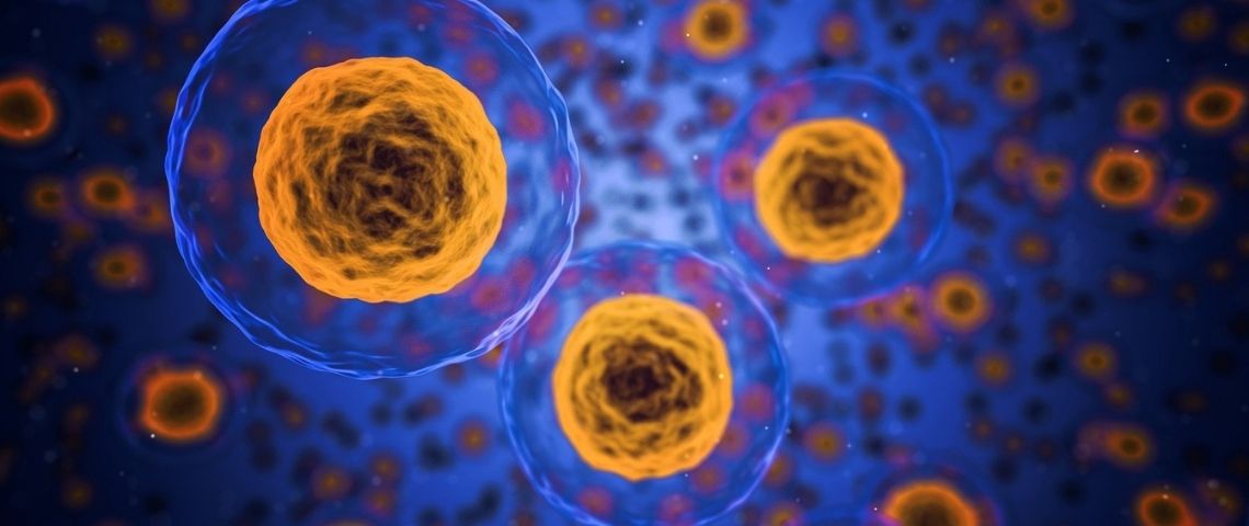 RCA Factory organise la 3eme édition d'Influence For Health, un événement 100% digital dédié aux influenceurs #santé Cellules du corps humain
