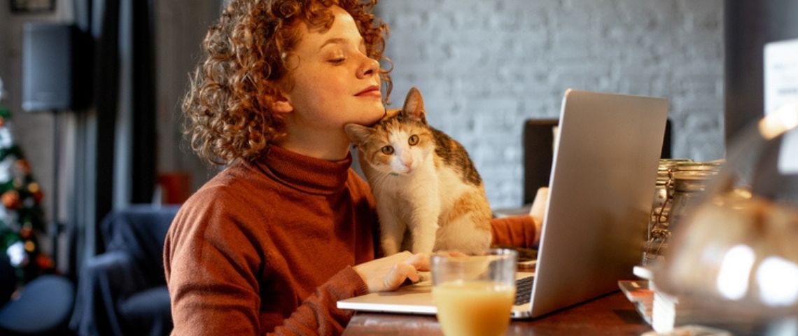 Quelles sont les étapes permettant d'enrichir efficacement votre base de données ? Quelles sont les étapes permettant d'enrichir efficacement votre base de données ?