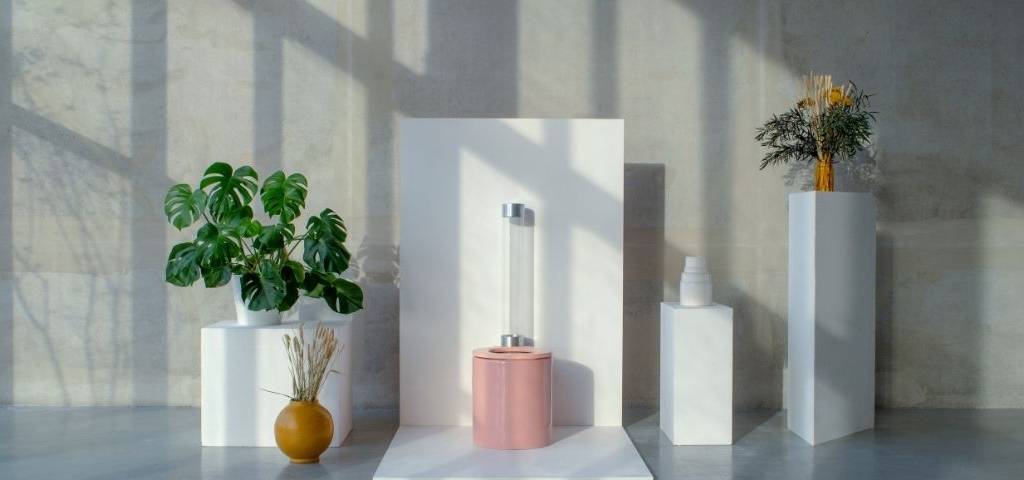 Toilettes Trone