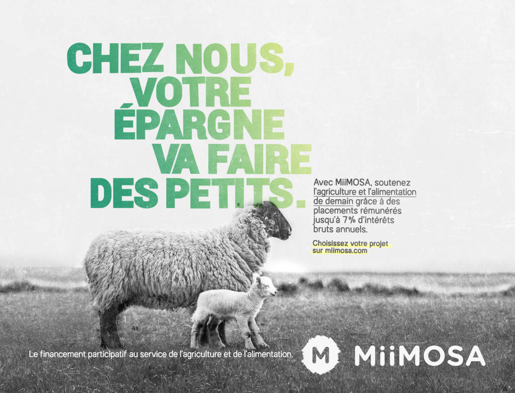 Affiches de la campagne Miimosa