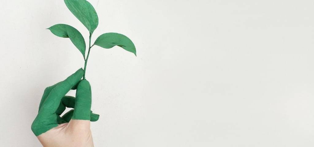 Main, peinte en verte avec une petite plante verte