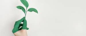 Main, peinte en verte avec une petite plante verte