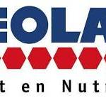 NÉOLAIT