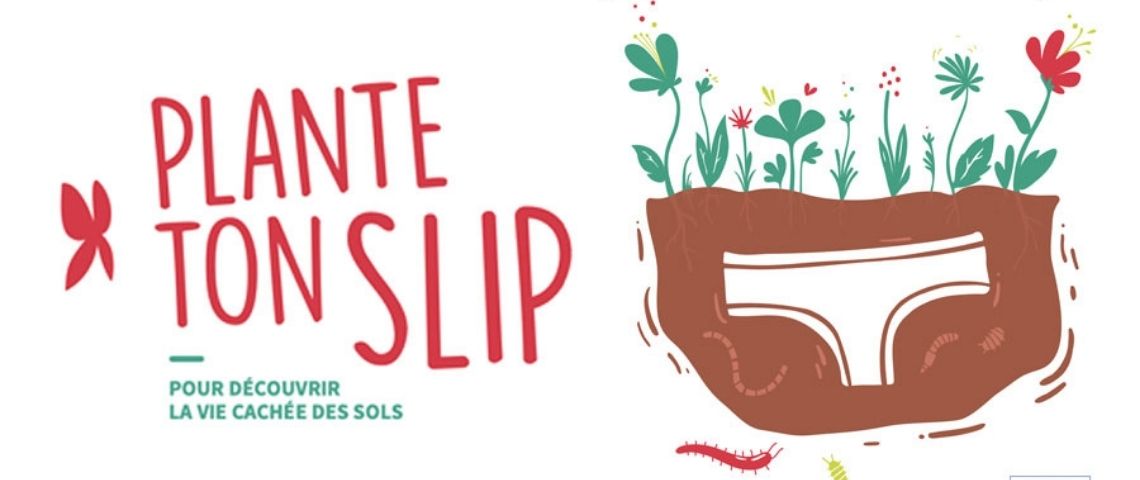 Afin de sensibiliser et d’encourager chacun à observer la vie cachée des sols, l’ADEME propose… de planter un slip ! Affiche de l'opération - plante ton slip -