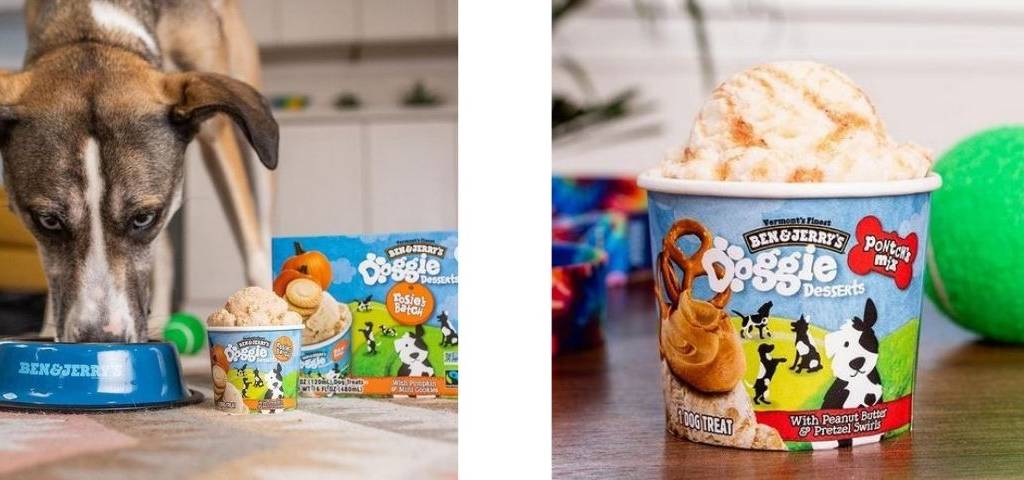 Chien mangeant une crème glacée pour les chiens de Ben & Jerry’s