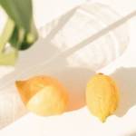 Un citron