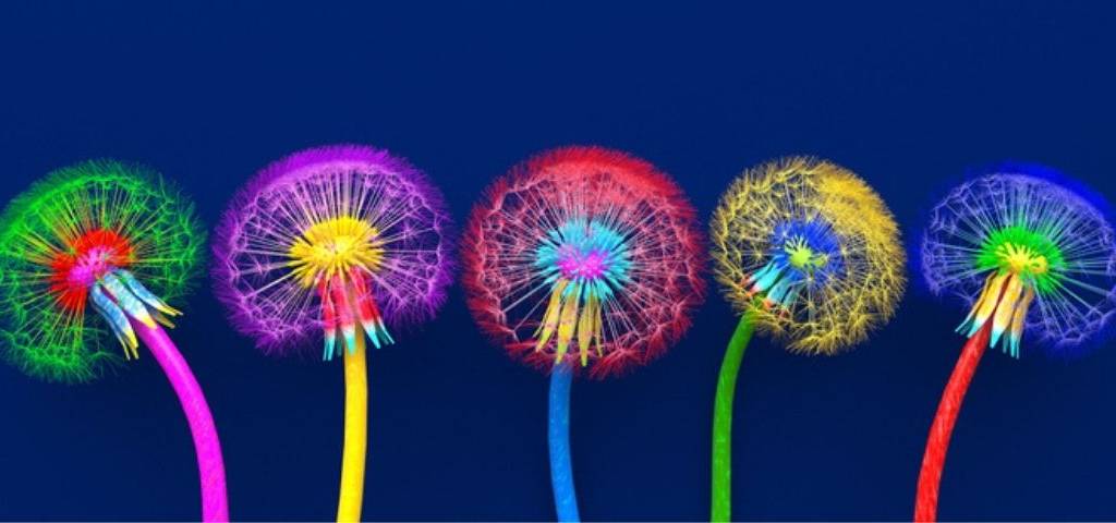 Quatre fleurs