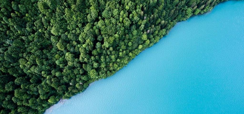 La forêt et la mer