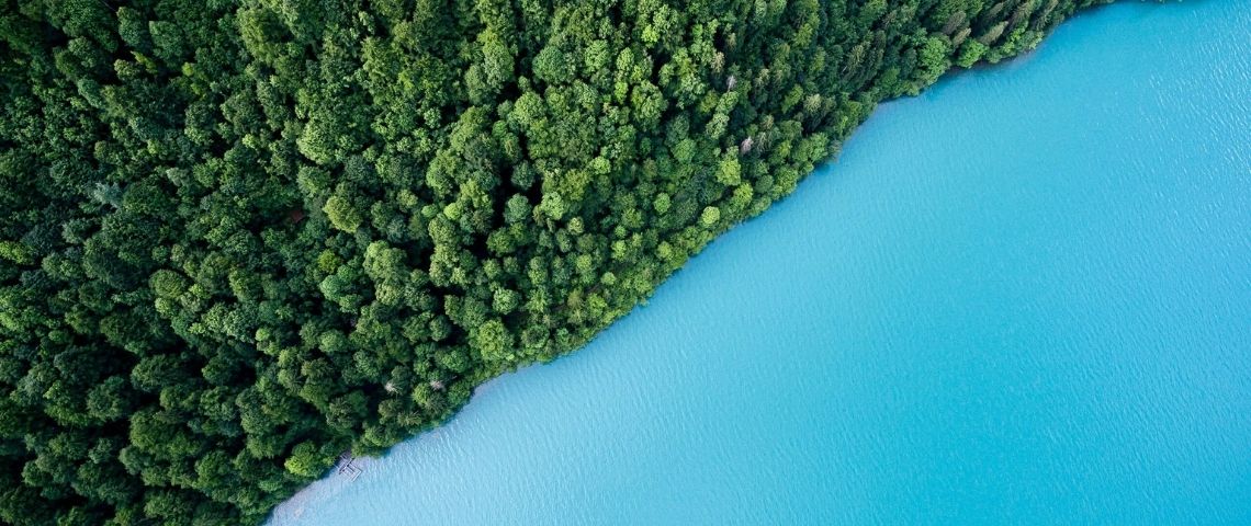 Développement durable : les 9 entreprises françaises les plus engagées La forêt et la mer