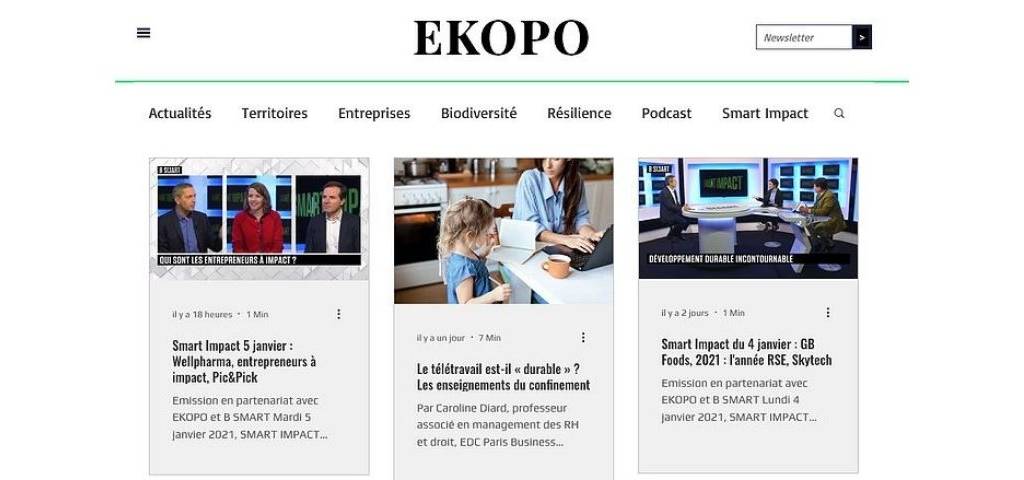 Capture d'écran du site Ekopo