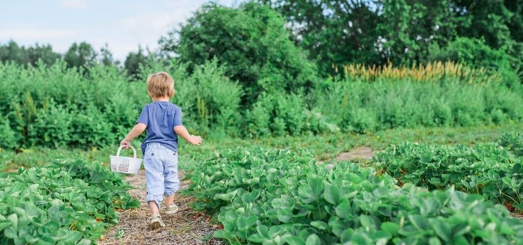 Un enfant qui court dans un champ