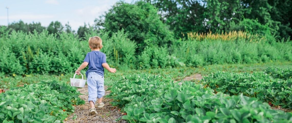 PepsiCo annonce ses ambitions pour un système alimentaire plus durable Un enfant qui court dans un champ