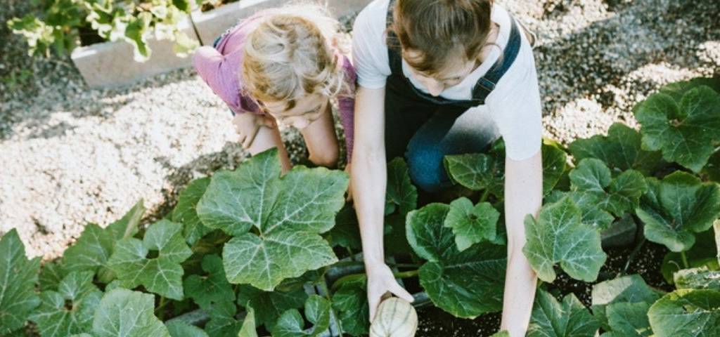 Des enfants dans un potager