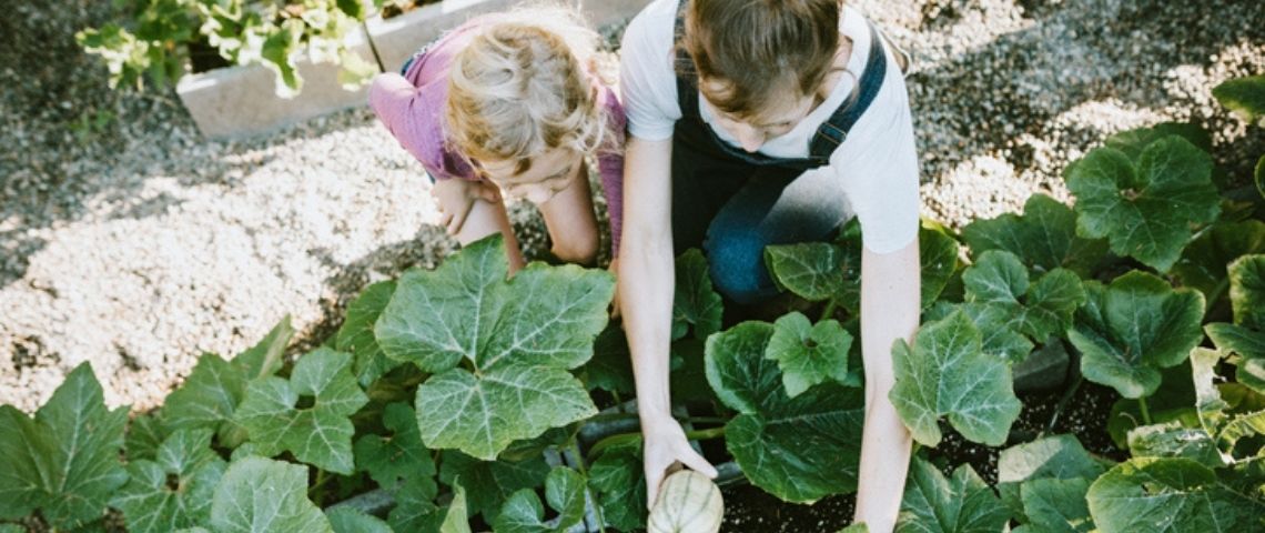 Shift Your Job : la plateforme qui réconcilie emploi et climat Des enfants dans un potager